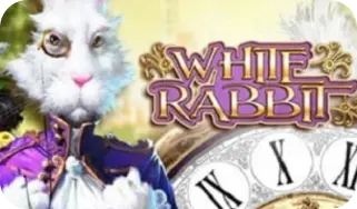 White Rabbit
